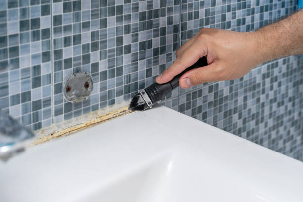 Best Mold Damage Repair  in Altoona, PA
